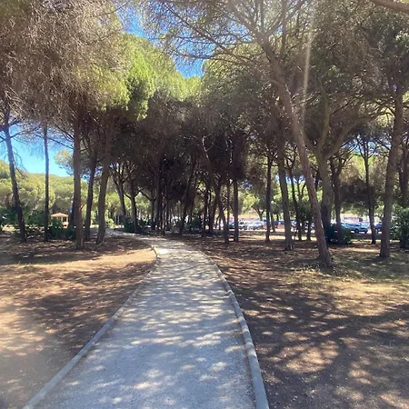 Con Patio Privado Con Barbacoa Y Piscina Cerca De La Playa Marbella